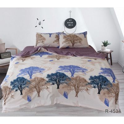 Комплект постільної білизни арт. R4534 з компаньйоном